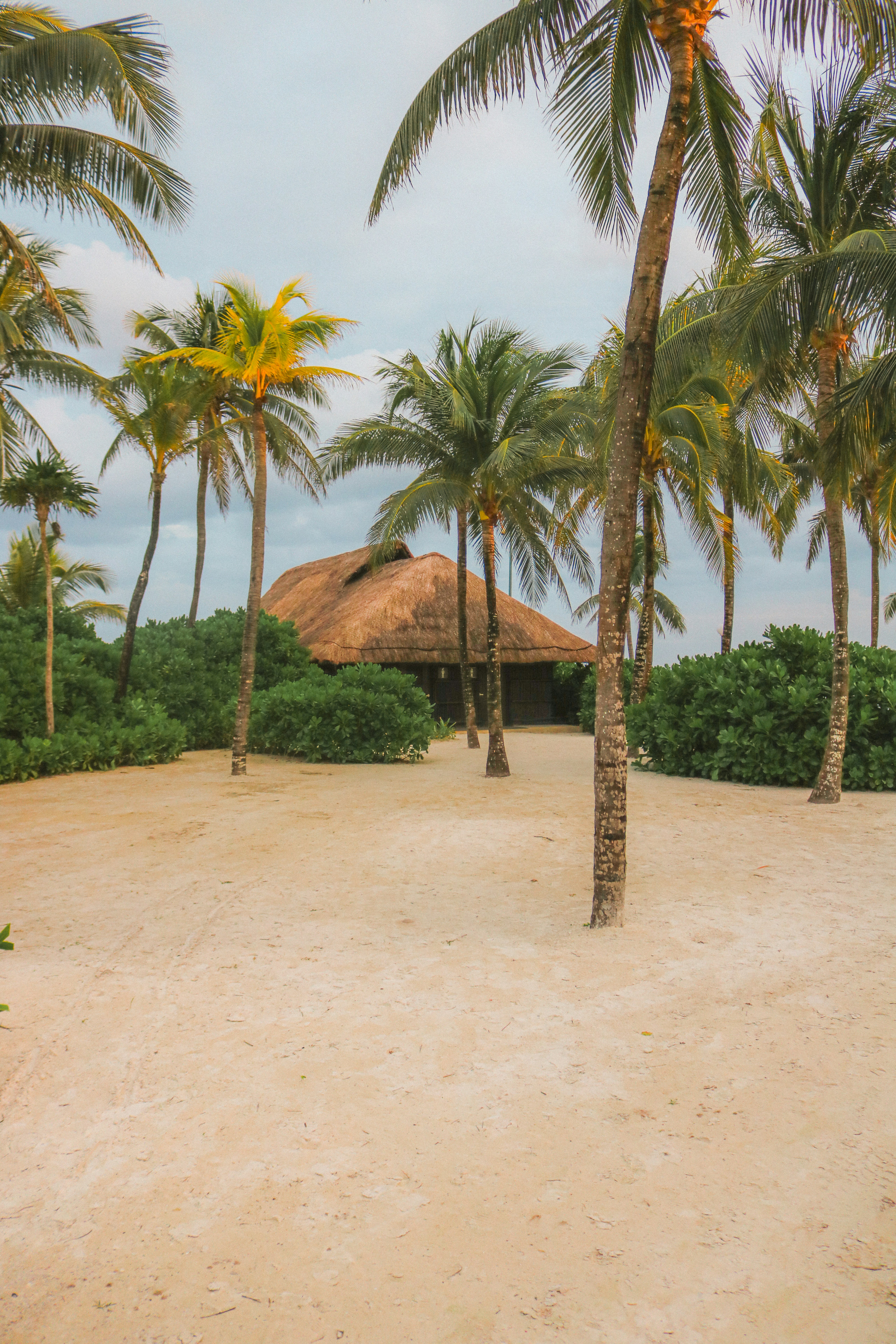 Beach Hut