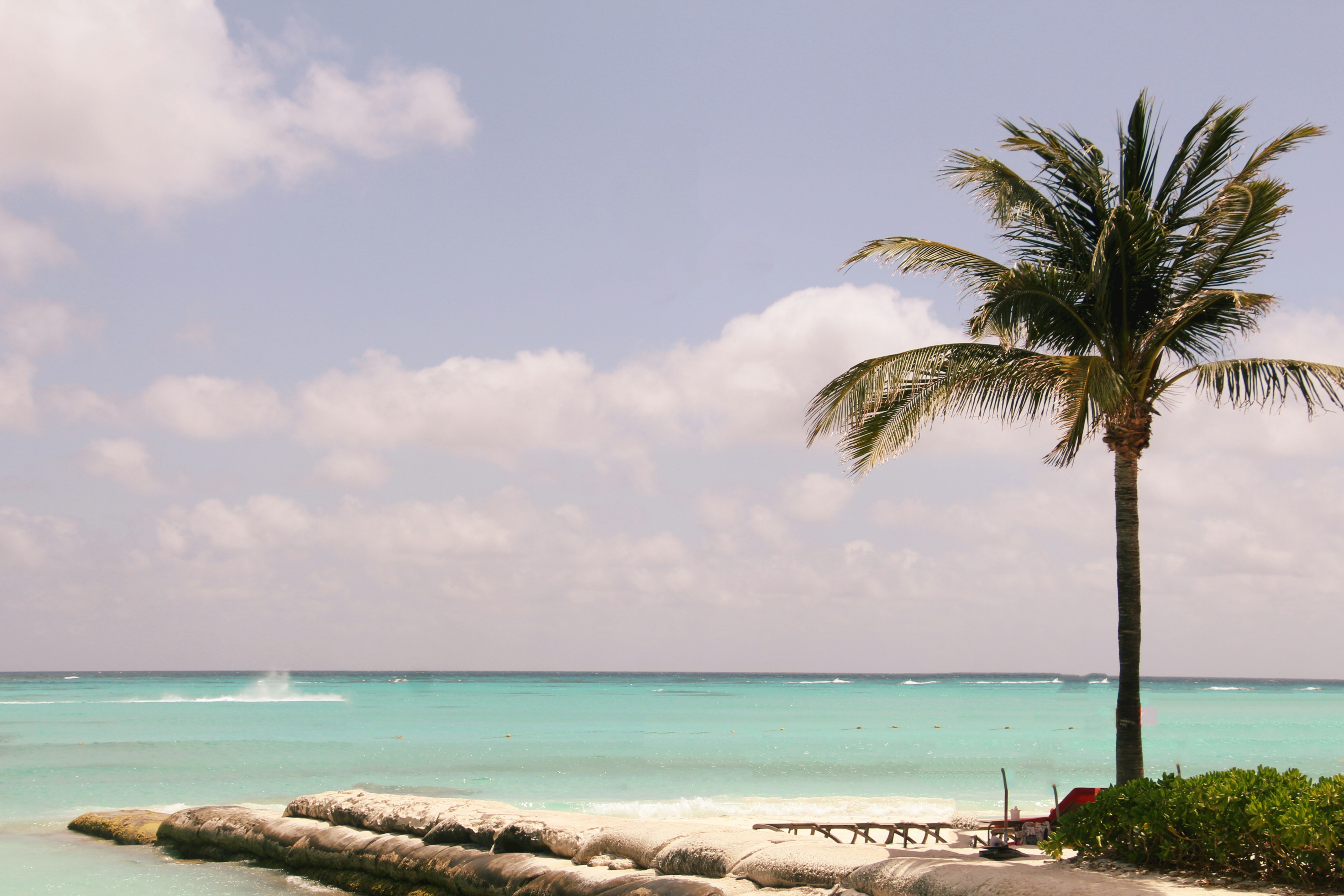 Palm Beach