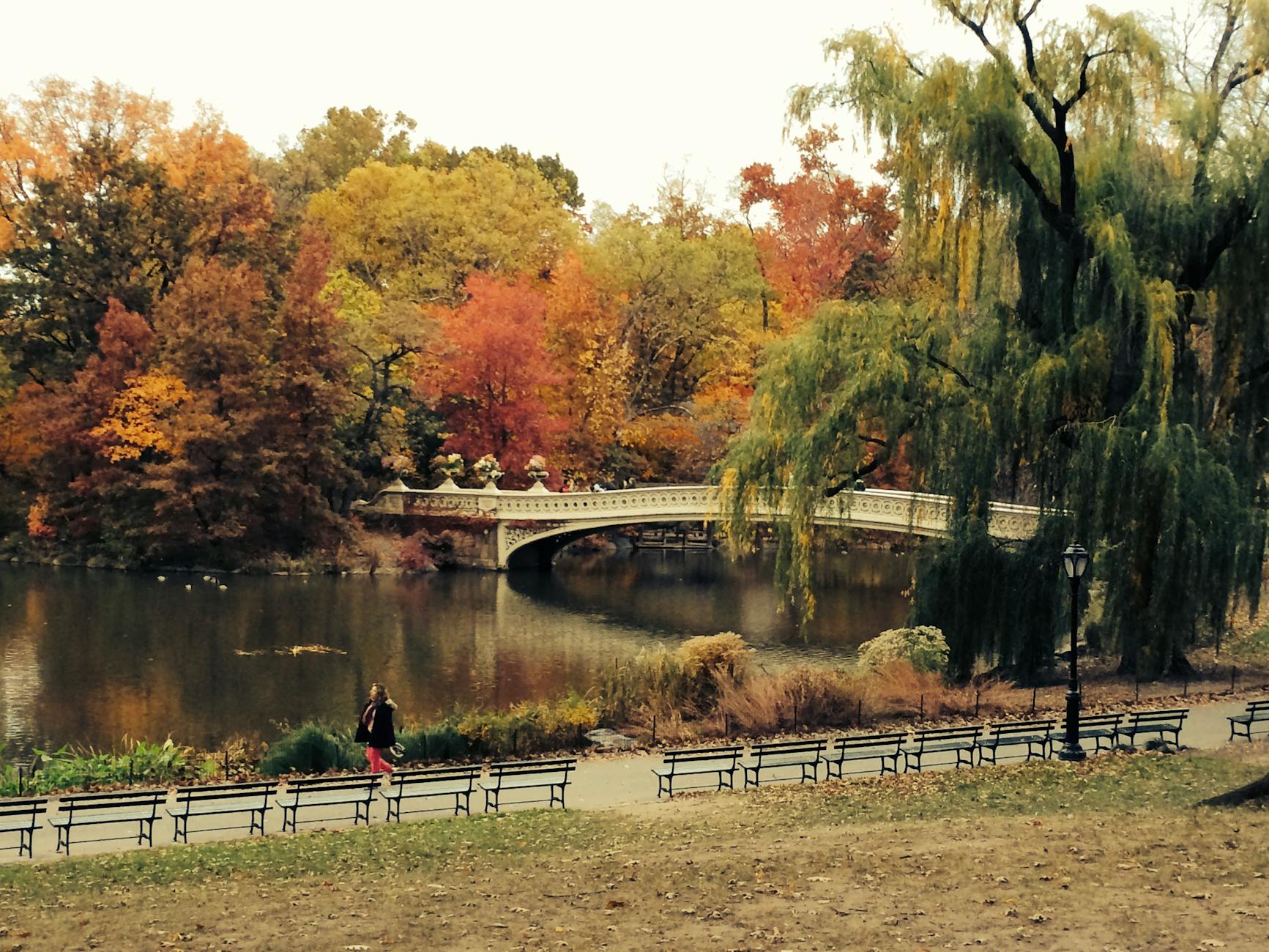 Central Park Photo Guide: 11 Spots, Best Light, and How to Get There