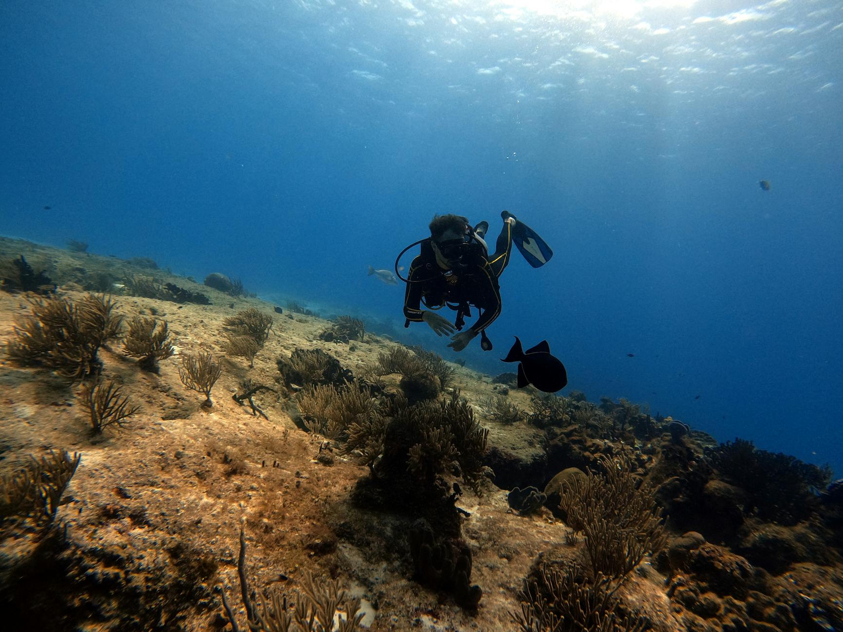Cozumel Day Trip From Xcaret: Ferry, Snorkel, and What to Skip