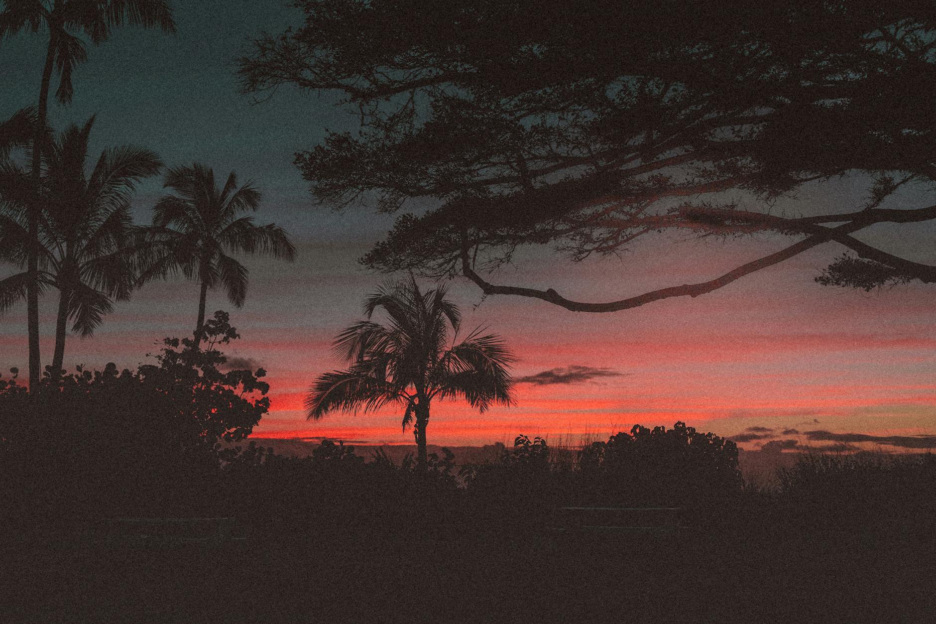 Hawaii Travel Guide: A Photographer's Pick of Each Island