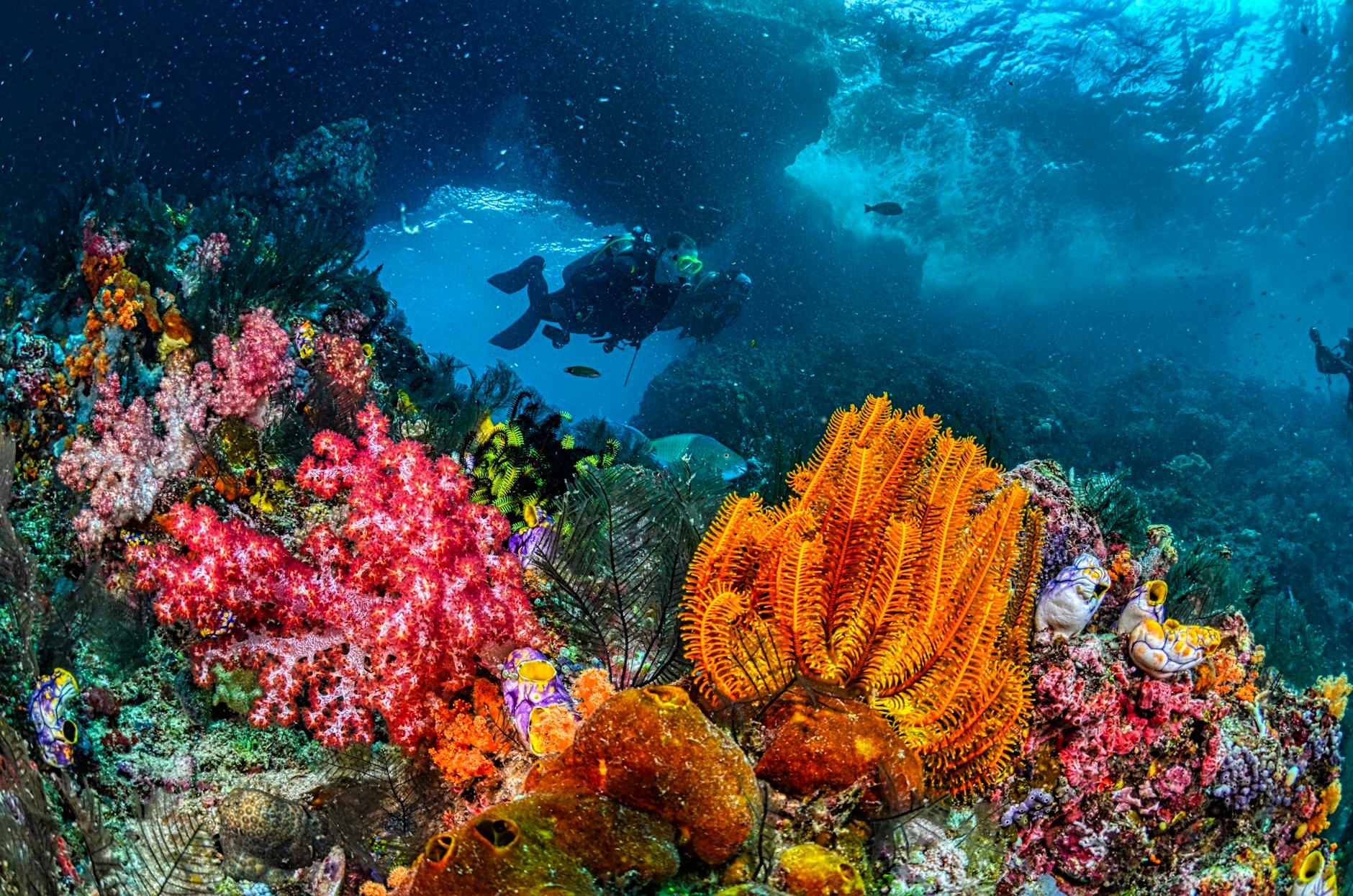 Snuba at Xcaret: How It Compares to Snorkeling and Scuba