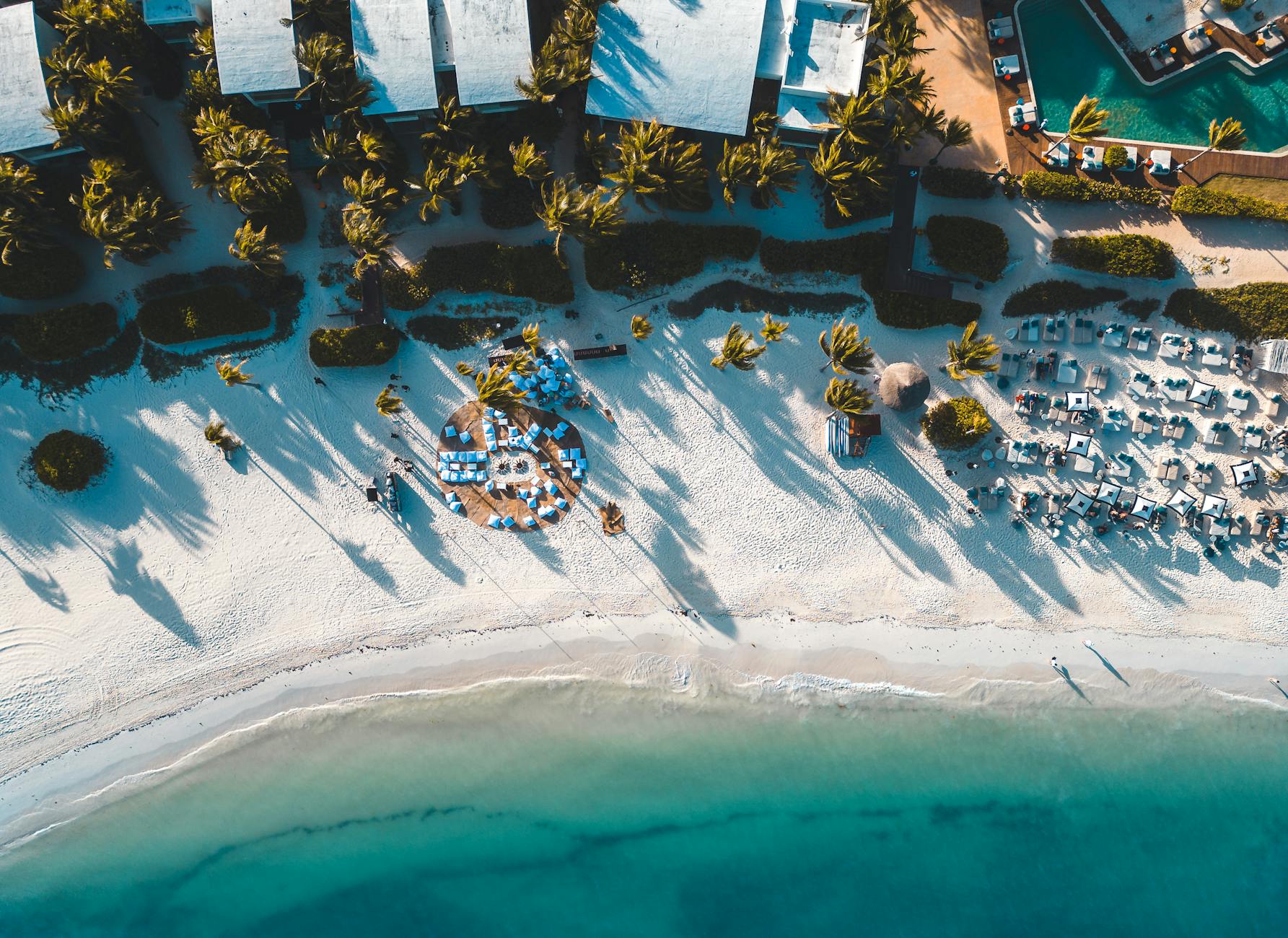 Which Grupo Xcaret Park Is Right for You? Decision Tree Guide