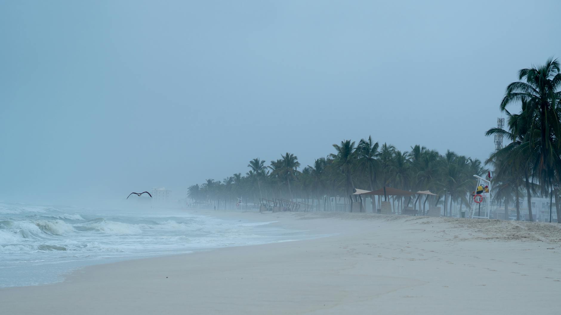Xcaret in August: Hurricane Season Begins — What I'd Do