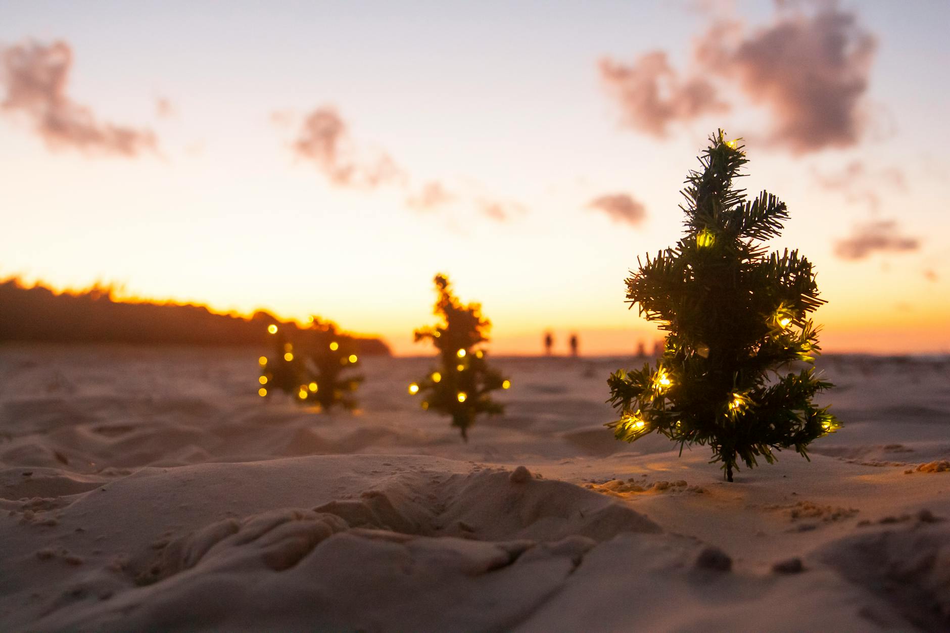 Xcaret in December: Christmas, NYE, and the Premium-Pricing Reality