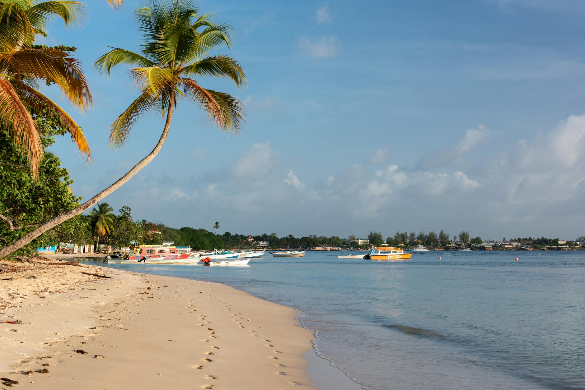 Xcaret in February: Weather, Whales, and Honest Crowd Forecast