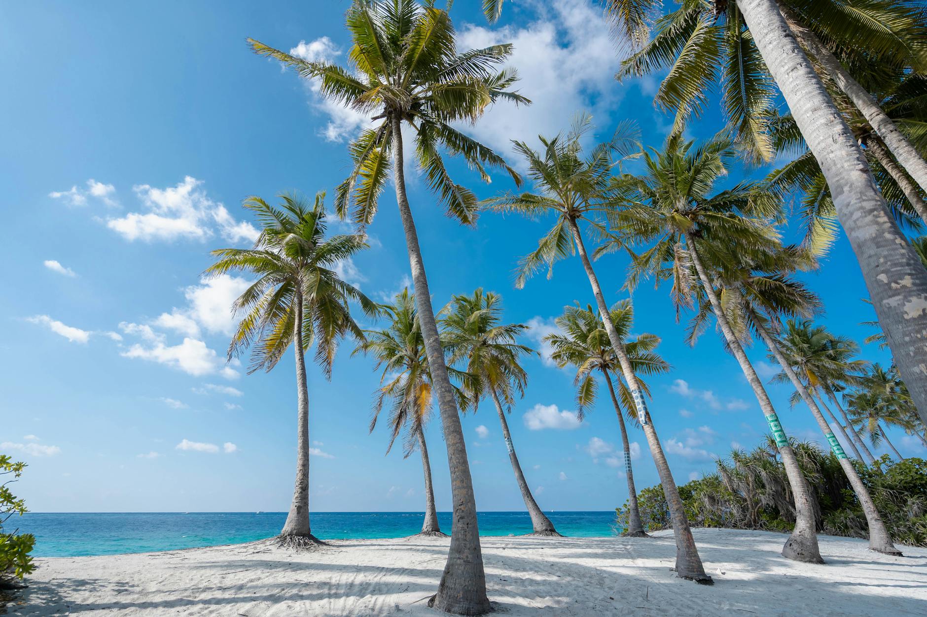 Xcaret in January: Weather, Crowds, Prices, What to Do