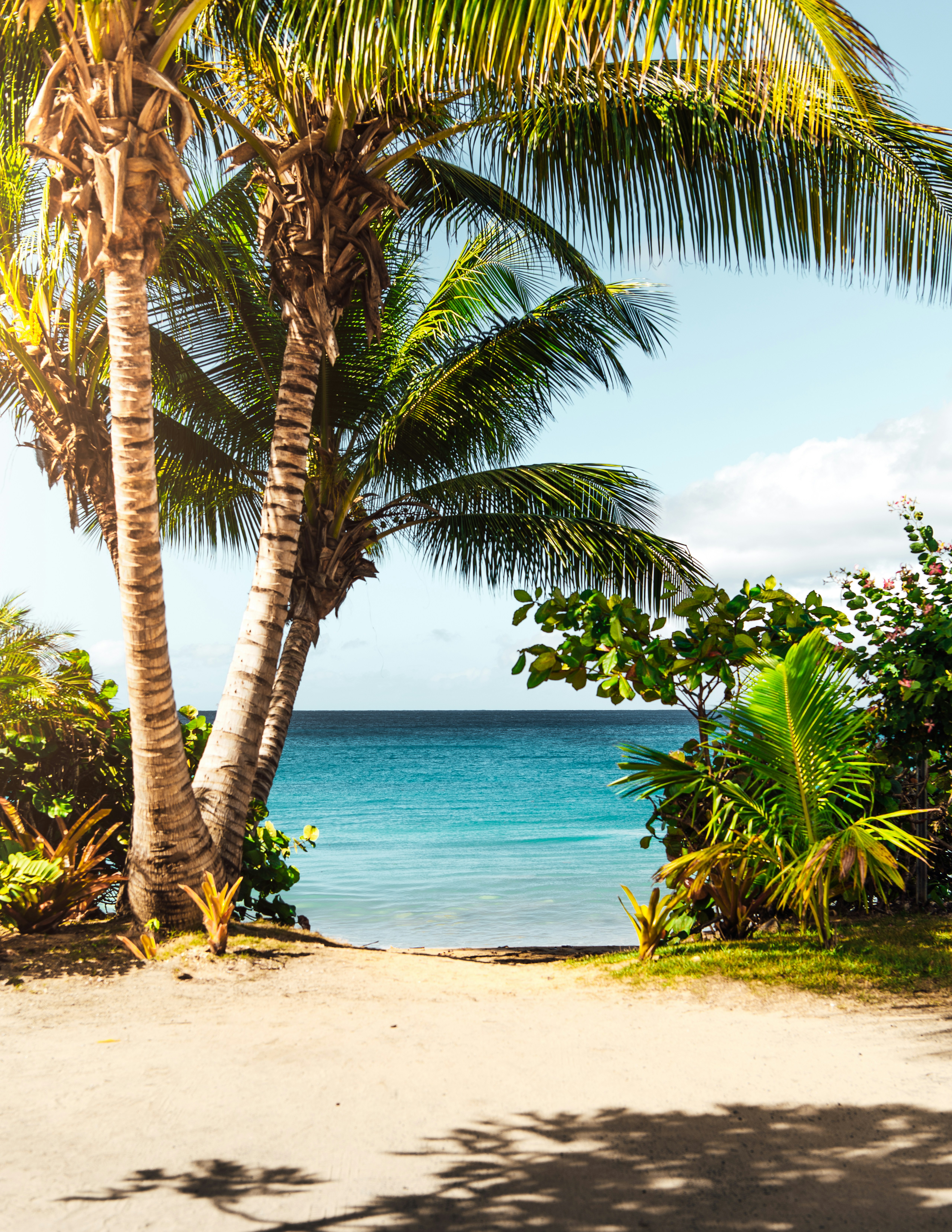 Coconut Beach
