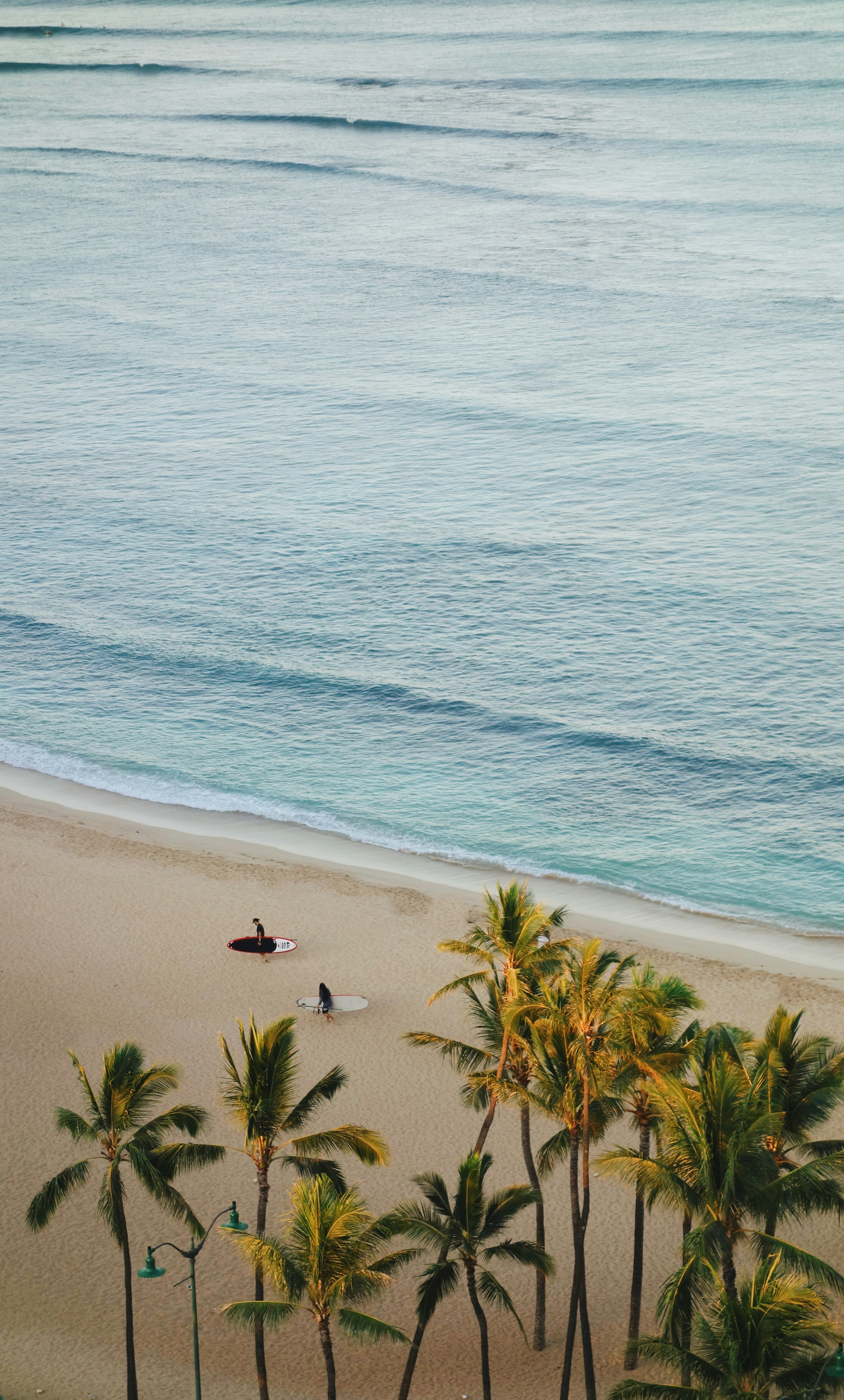 Surfers
